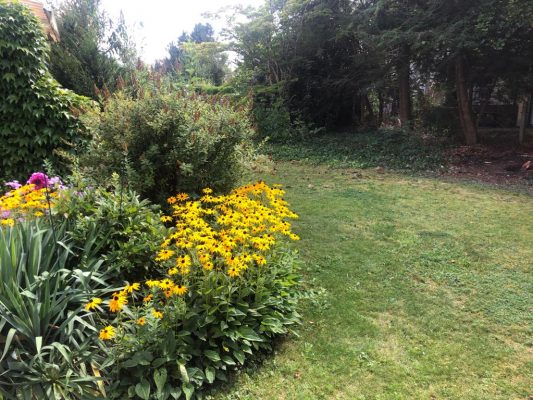 Garten
